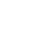 Mandala Icon